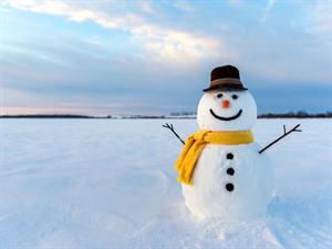 shutterstock_535293742.jpg