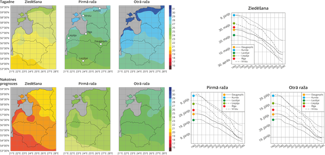 YCUZD_260505_5349_grafiki_kopa.png