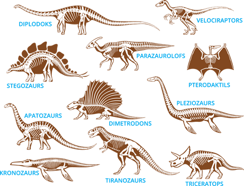 YCUZD_230825_5482_dinozauri_ar nosaukumiem.png