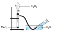 izpiežot ūdeni.png
