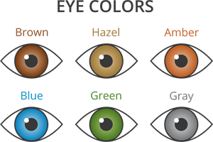 YCUZD_250701_7395_eye colors_acu krāsas.png