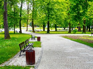 Shutterstock_94456312_parparks.jpg