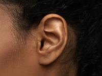 Shutterstock_1977415301_ear_auss.jpg