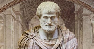 042119-27-Ancient-History-Philosophy-Science-Biology-Aristotle-Greek-Greece-768x402.jpg