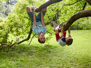 shutterstock_479263099_two kids hanging upside down on tree_divi bērni karājas uz koka.jpg