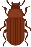 11.png