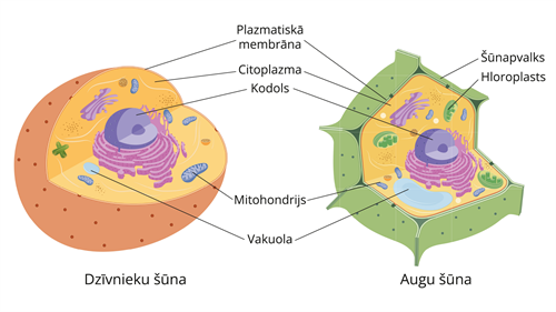 YCUZD_241119_6778_25.png
