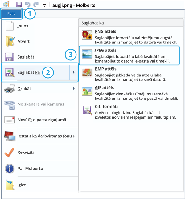 Paint_paraugs (1).png