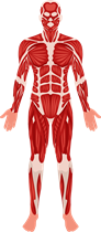 YCUZD_260520_8229_cilvēks_12.png