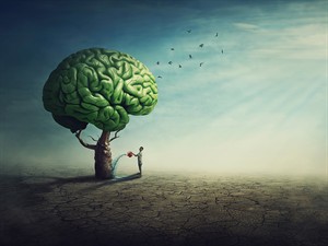 shutterstock_2593190341_brain tree_smadzeņu koks.jpg