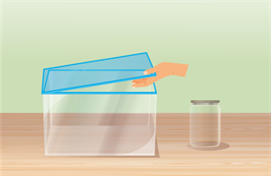 YCUZD_230726_5347_ekosistēmas struktūra_14.png