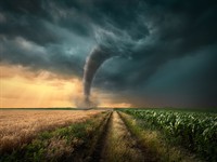 shutterstock_2233419631_Tornado.jpg