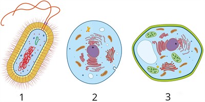 shutterstock_1414724018 (1).jpg