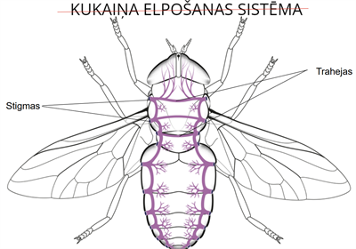 Screenshot 2026-03-10 114509.png