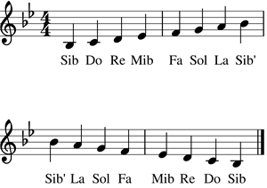 Reinis_27062026_Sib_mazors-1.png