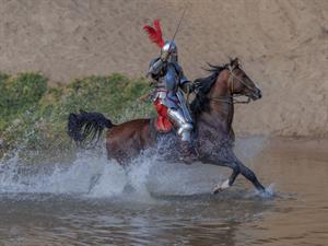 Shutterstock_1757570546_knight on a horse_bruņinieks uz zirga.jpg