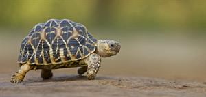 shutterstock_1681383049.jpg