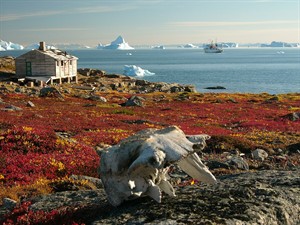 WIKI_20251810_Greenland_scoresby-sydkapp2_hg.jpg
