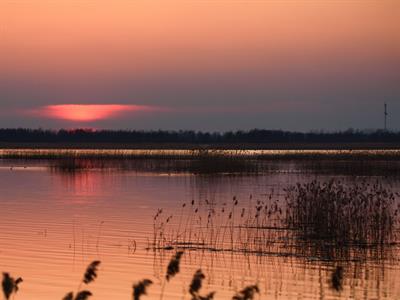 Shutterstock_1416810446_lubanas lake_lubānas ezers.jpg