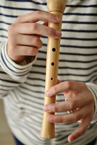 PIXABAY_congerdesign-flute-2245032_stabule.jpg