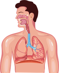 YCUZD_260128_4962_7_2.png