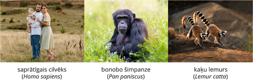 YCUZD_261014_6873_Dzīvnieku sistēma_15.png