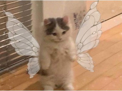 Lāsma Kitija Mateusa