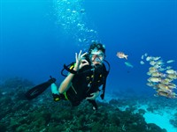 Shutterstock_1322420543_Underwater sport_Zemūdens sports.jpg