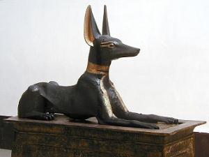 anubis1.jpg