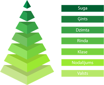 YCUZD_261014_6873_Augu sistēma_1.png