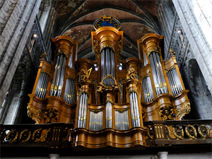 Alexandros Michailidis   Shutterstock.com.png