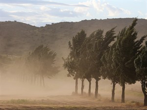 shutterstock_2278217481_Sand storm_Smilšu vētra.jpg