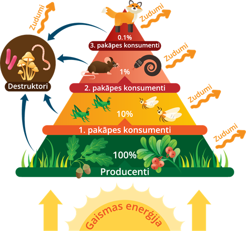 YCUZD_230726_5389_enerģijas piramīda.png