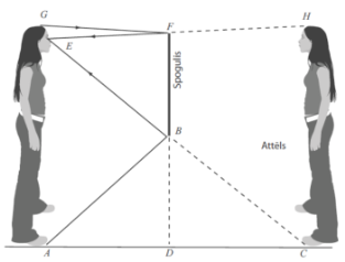 Spogulis Meitene.png