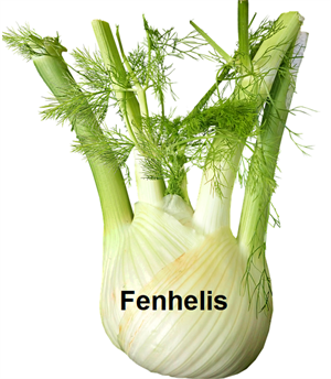 Fenhhheelis.PNG