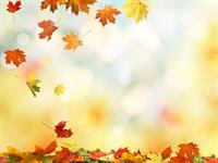 Shutterstock_697076155_autumn_rudens.jpg