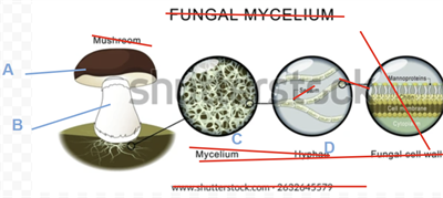 Screenshot 2026-03-30 170503.png