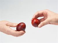 Shutterstock_2082521971_knocking eggs_olu kauja.jpg