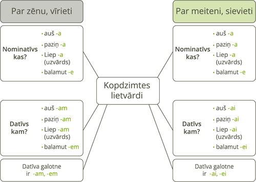 YCUZD_250815_7533_kopdzimtes lietvārdi.png