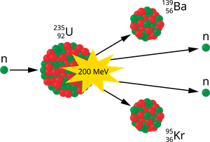 YCUZD_251001_3689_56.png
