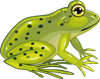 YCUZD_230709_5338_der Frosch.png