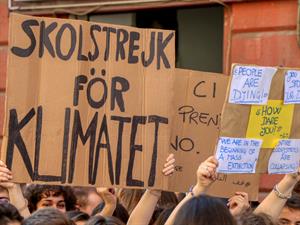 Massimo Todaro Shutterstock.jpg