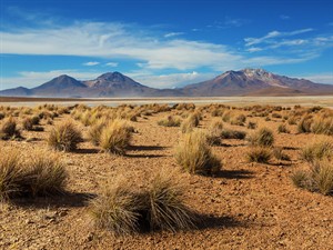 shutterstock_2458156087_Northern Chile Atacama desert_Atakamas tuksnesis Čīles ziemeļos.jpg