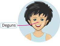 Deguns_nose_нос.png