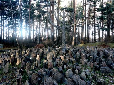 AJSTUDIO PHOTOGRAPHY Shutterstock.jpg