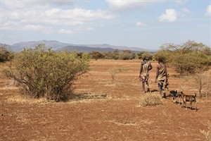 WIKI_29042026_Hadazbe_returning_from_hunt.jpg