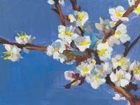 Shutterstock_2224457365_painting of blooming apricot_ziedošas aprikozes glezna.jpg