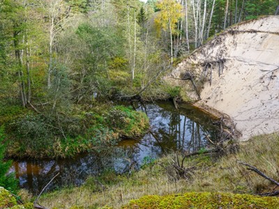 Shutterstock_2587531607_Baltic white dunes_Baltijas baltās kāpas.jpg