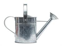 shutterstock_130413389_metal watering can_metāla lejkanna.jpg