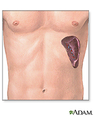 spleen.jpg